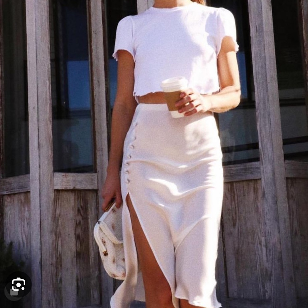 IN SEARCH OF: Stone Cold Fox Bassette skirt